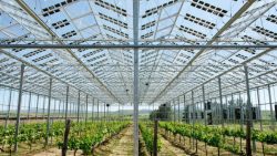 BRITE-SOLAR