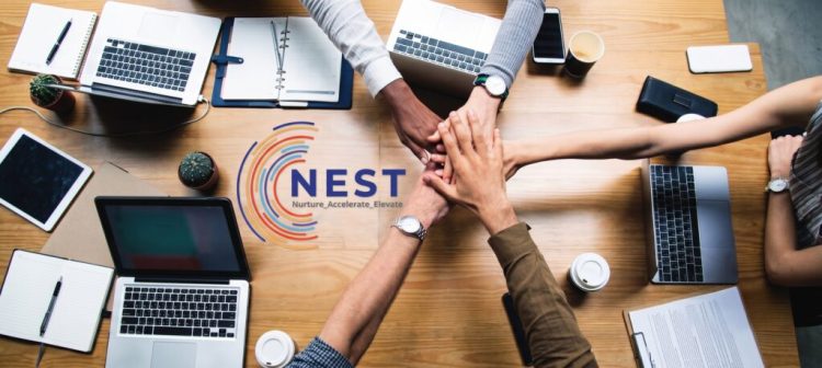 Cnest