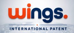 WINGS_International_Patent (2) (1)