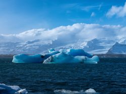 climate crisis (1)