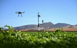 drone