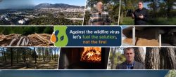 helaviom_Fuel-the-solution-not-the-fire_Video_collage (1) (1) (1)-ezremove (2)