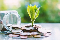 Plant growing from coins outside the glass jar on blurred green natural background for business and financial growth concept