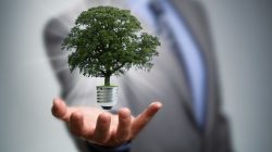 sustainability